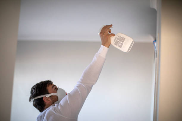 Best Basement Mold Remediation in Estell Manor, NJ